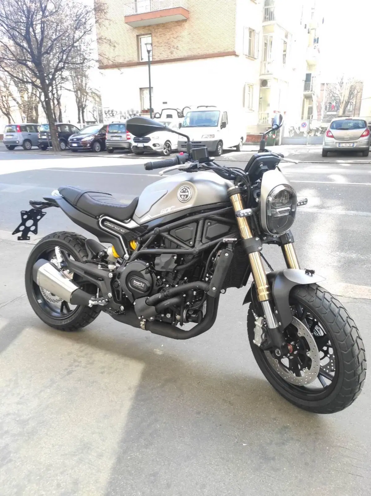 Benelli Leoncino 800 (2022 - 26) (4)