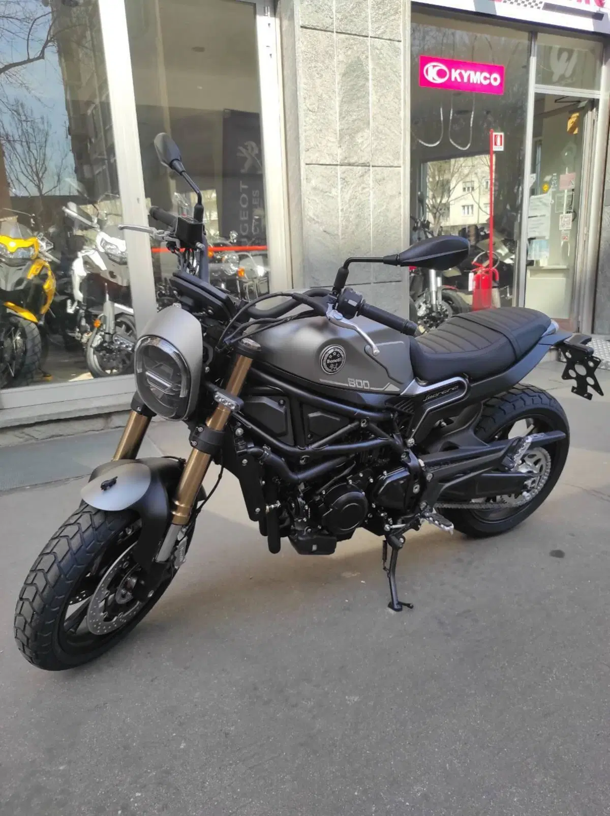 Benelli Leoncino 800 (2022 - 26) (4)