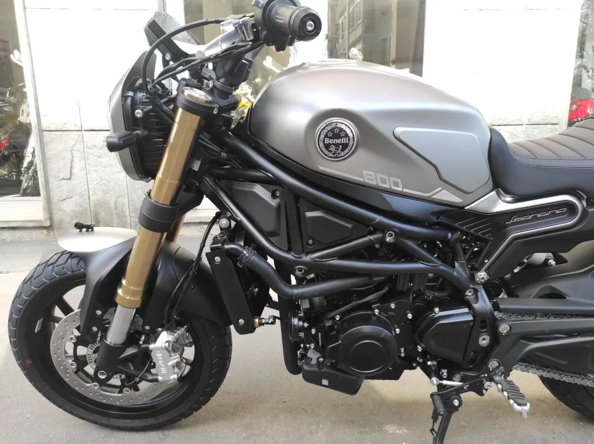 Benelli Leoncino 800 (2022 - 26) (12)