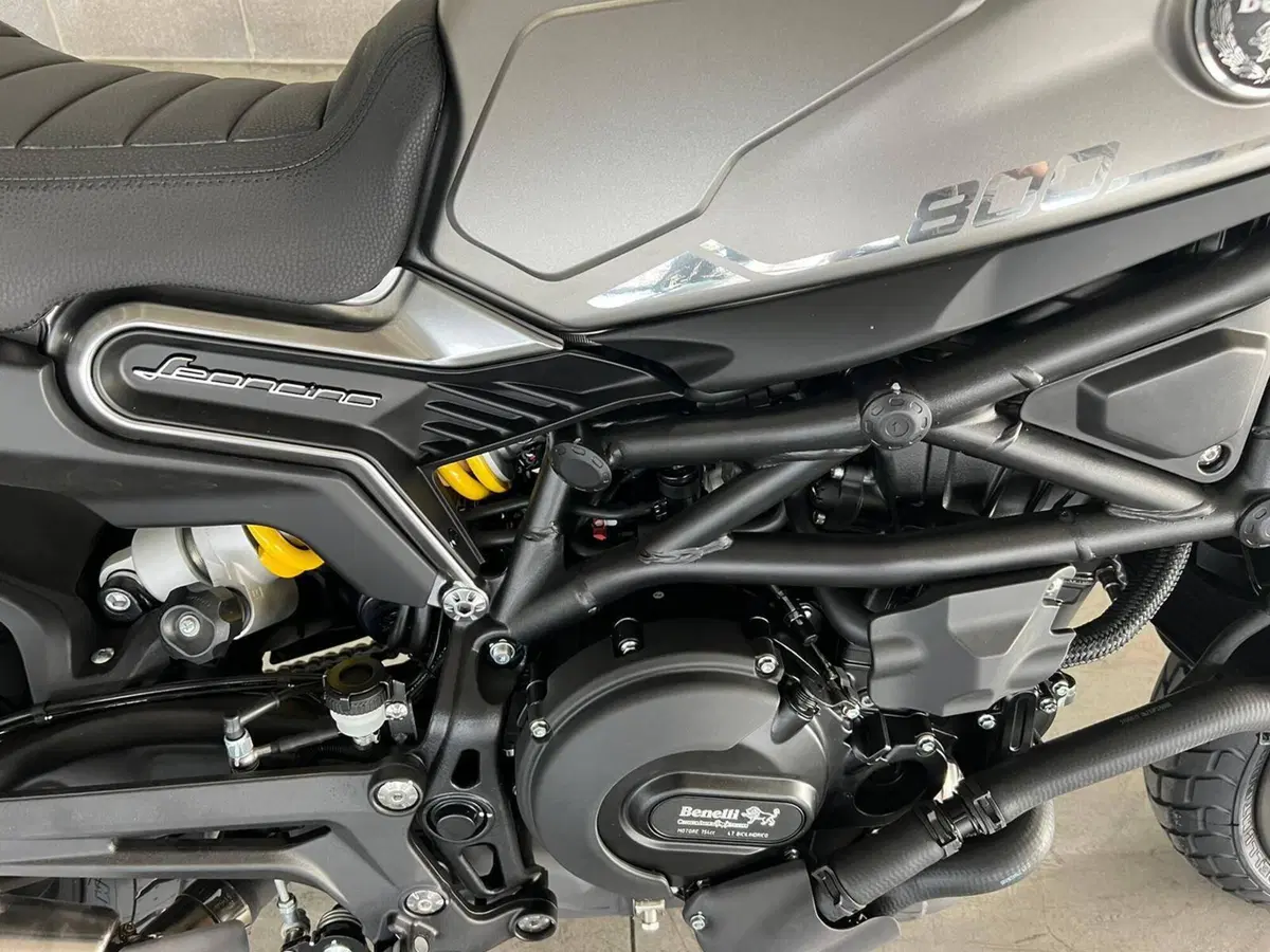 Benelli Leoncino 800 (2022 - 26) (5)
