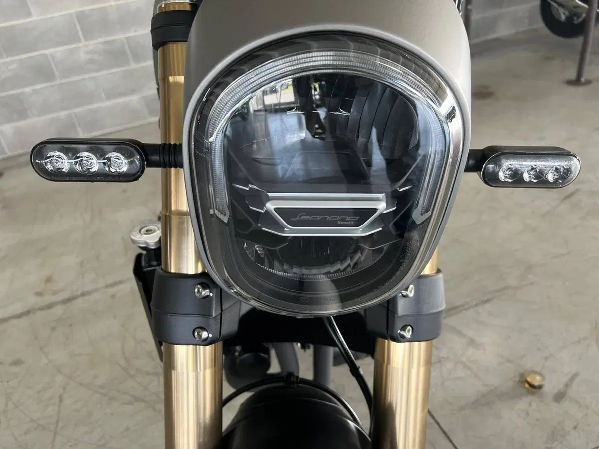 Benelli Leoncino 800 (2022 - 26) (7)