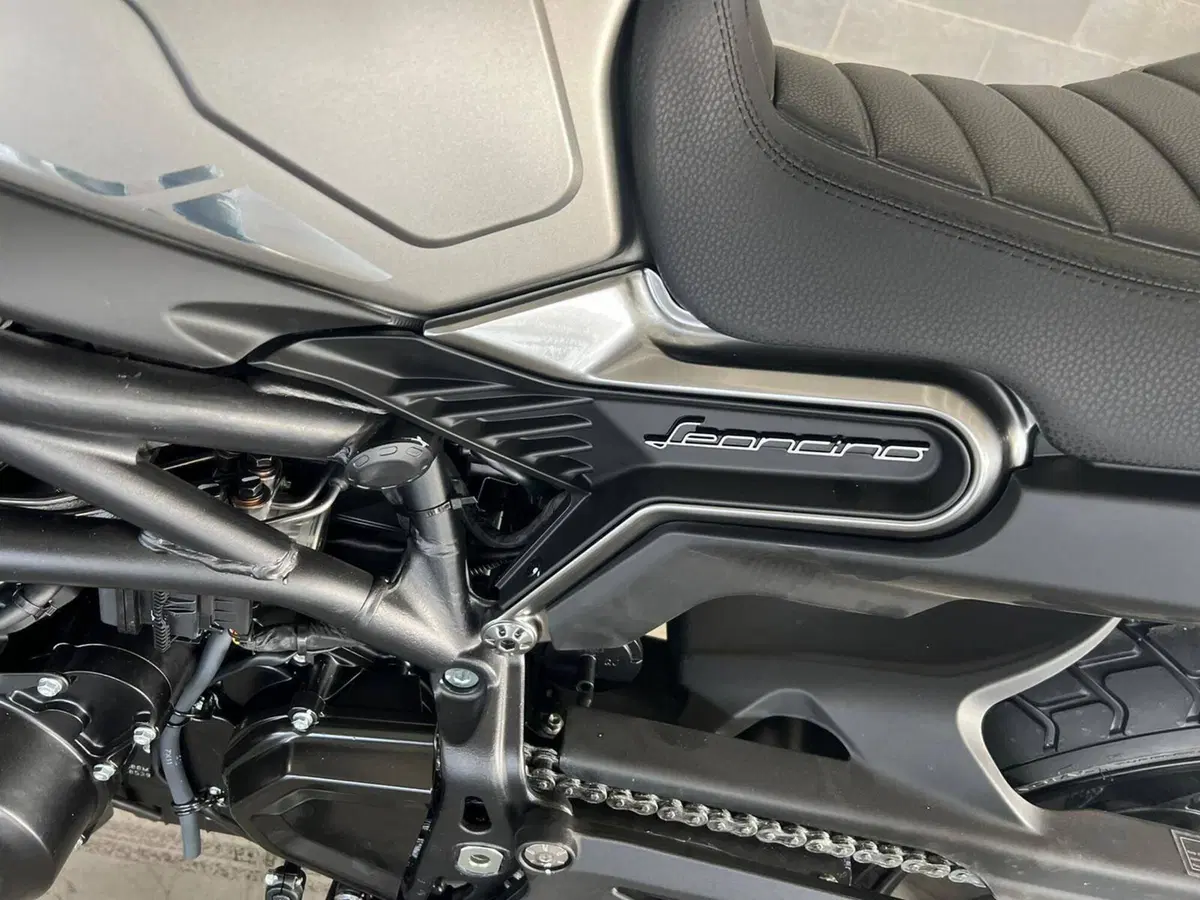 Benelli Leoncino 800 (2022 - 26) (8)