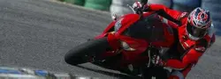 Pettinari Classic & Racing Bike