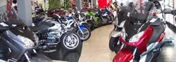 Gadani Moto Pesaro