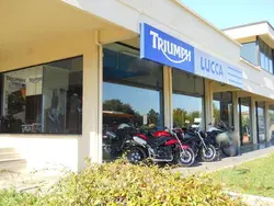 Ferbike - Triumph Lucca