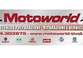 Model.CompanyName