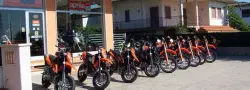 Team Cico