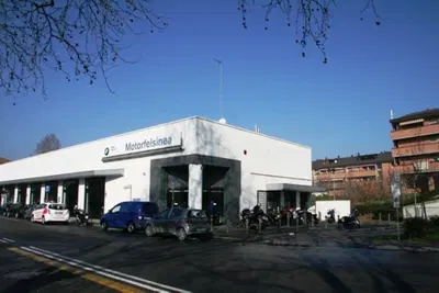 Motorfelsinea