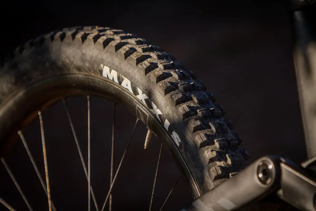 TEST - Canyon Spectral:ON 2022. eMTB totale! (3)