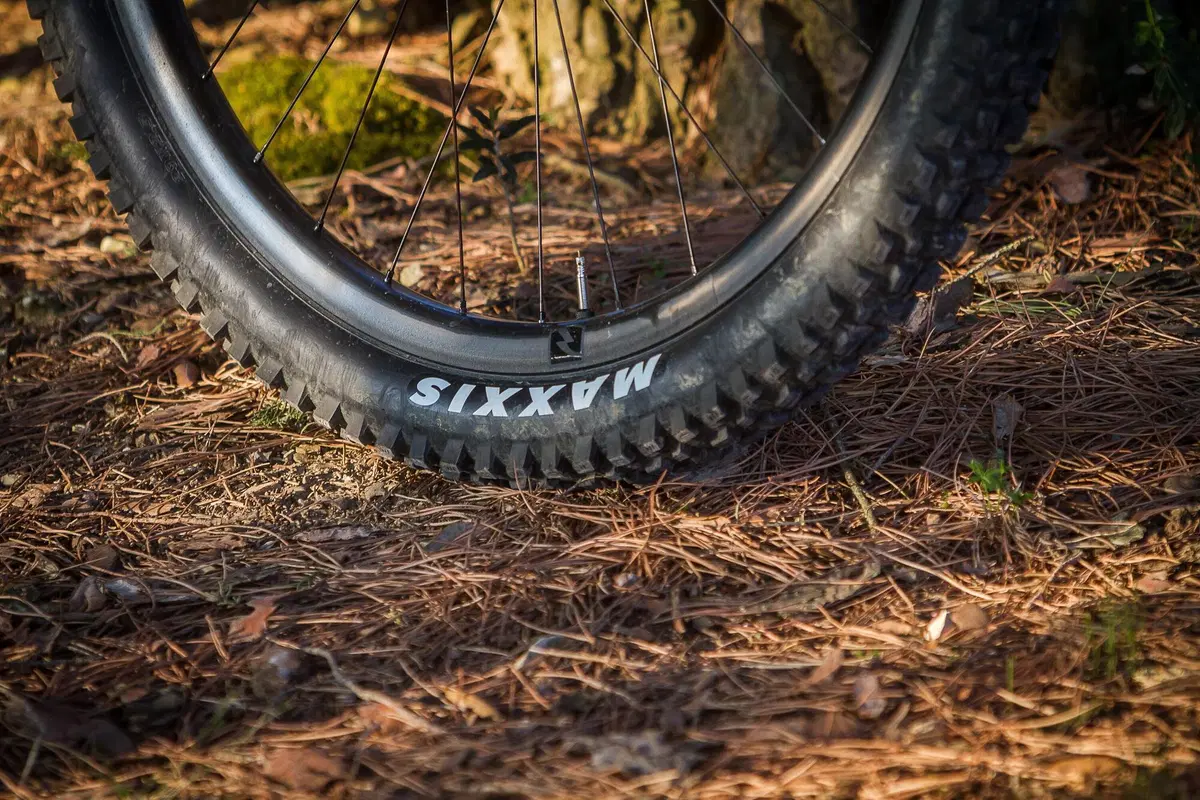 TEST - Canyon Spectral:ON 2022. eMTB totale! (52)