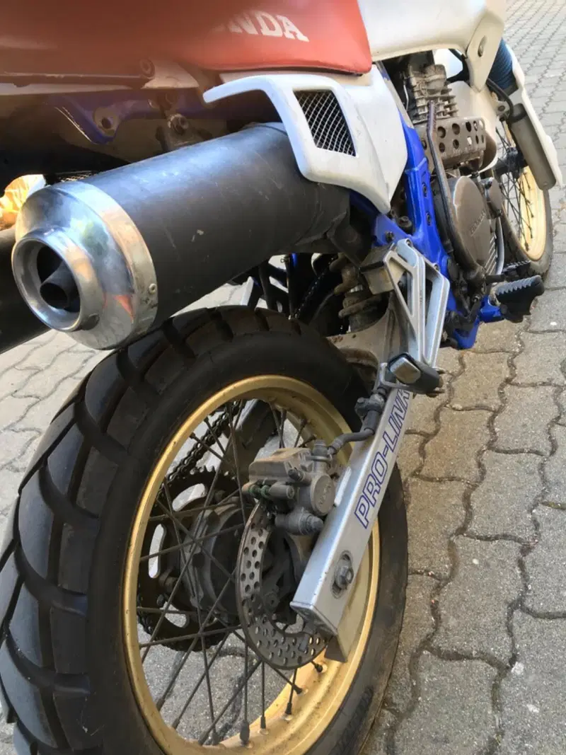 Honda Dominator 650  (2)