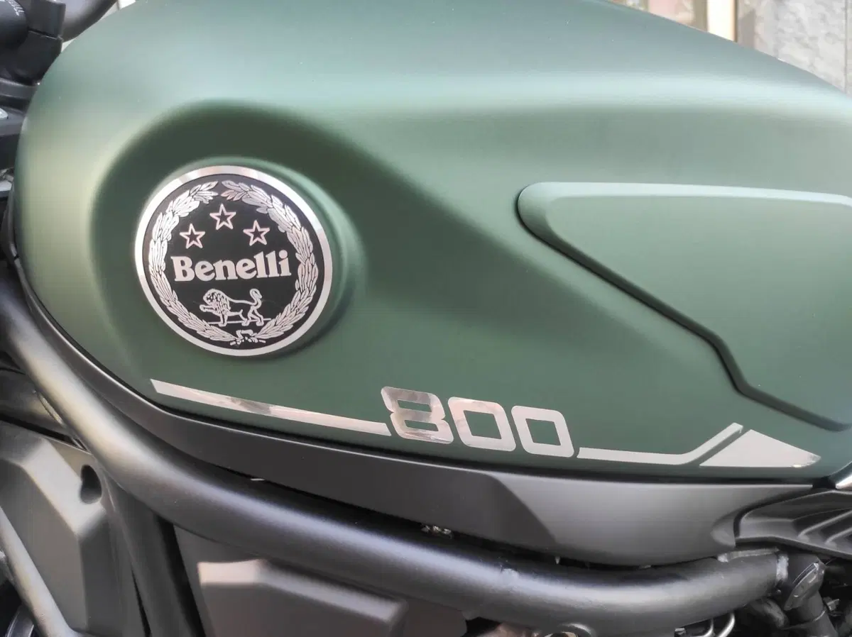 Benelli Leoncino 800 (2022 - 26) (16)