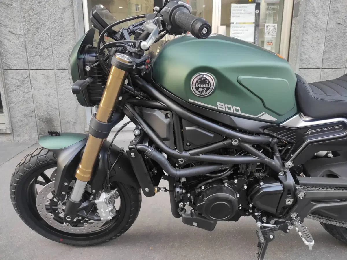 Benelli Leoncino 800 (2022 - 26) (13)