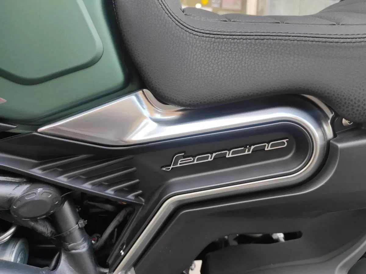 Benelli Leoncino 800 (2022 - 26) (19)