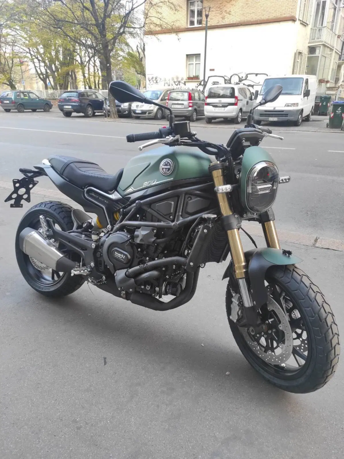 Benelli Leoncino 800 (2022 - 26) (4)