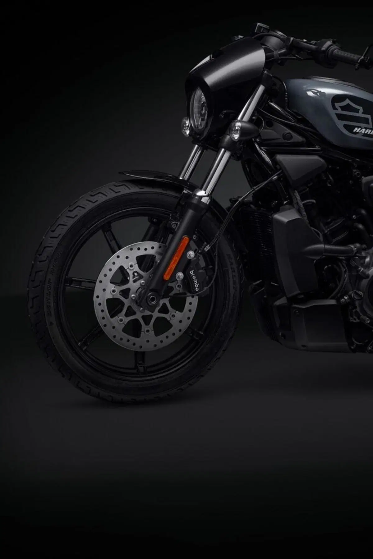 Nuova Harley-Davidson RH975 Nightster 2022 (15)