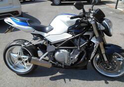 MV Agusta Brutale 750 S (2002 - 06) usata