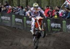 Tony Cairoli, GP d'Olanda 2012
