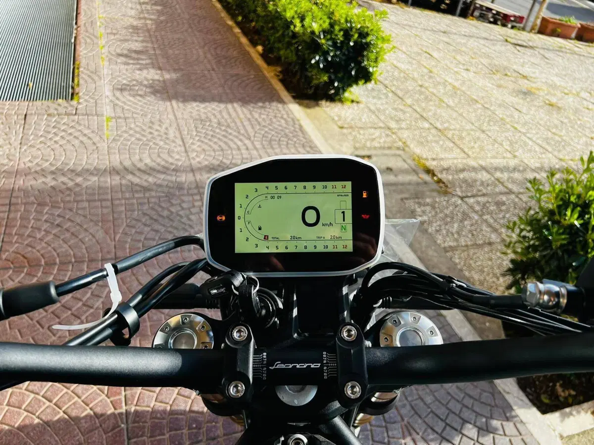 Benelli Leoncino 800 (2022 - 26) (12)