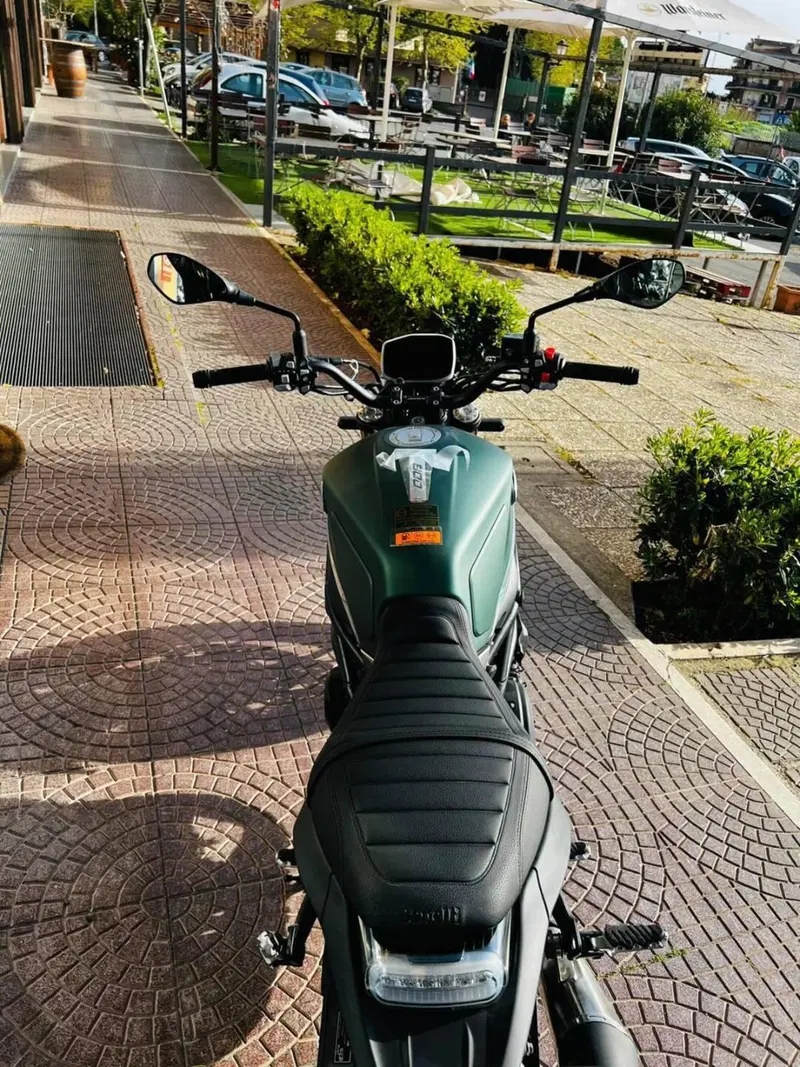 Benelli Leoncino 800 (2022 - 26) (13)