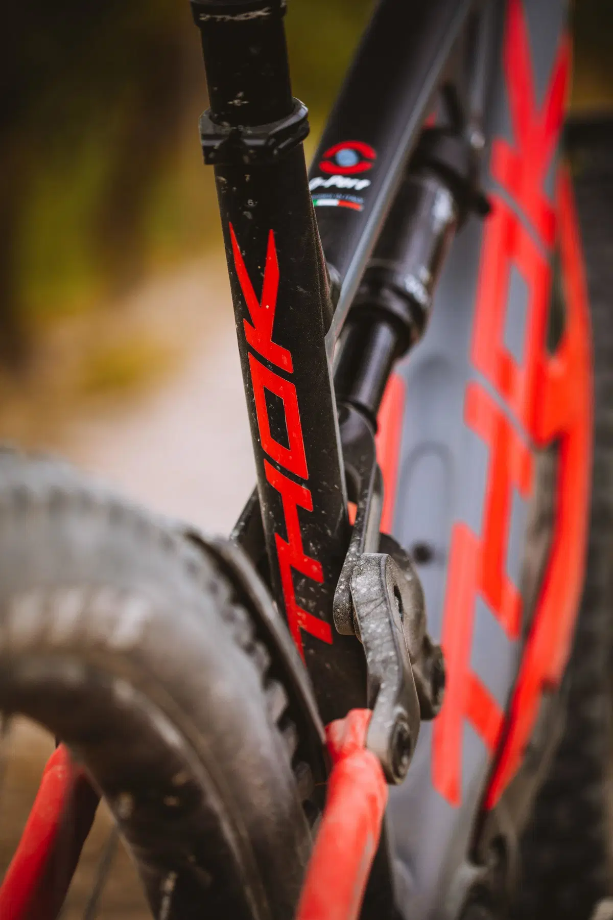 TEST- Thok Mig-R, l'entry level di qualità superiore (10)