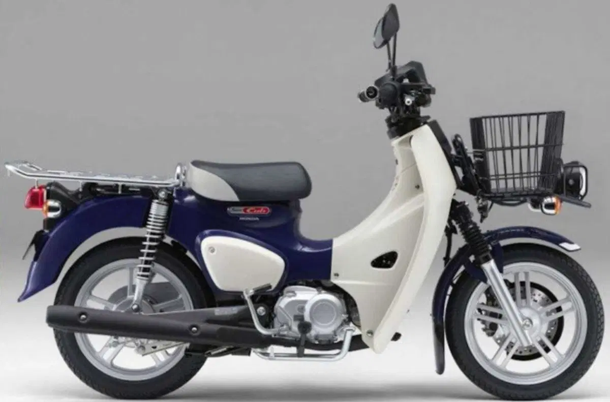 Honda Super Cub 110 Pro. Il trasporto è servito (2)