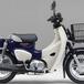 Honda Super Cub 110 Pro. Il trasporto è servito