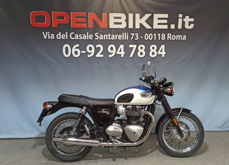 Triumph Bonneville T100 (2017 - 20) (2)
