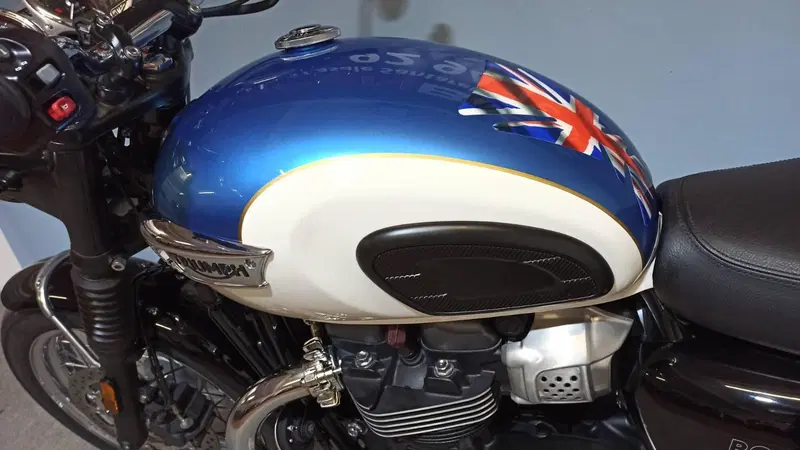 Triumph Bonneville T100 (2017 - 20) (14)