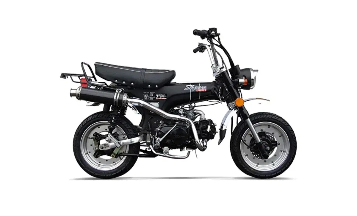 Sky Team Skymax Dax 125 Skymax Dax 125 (2012 - 17) (2)