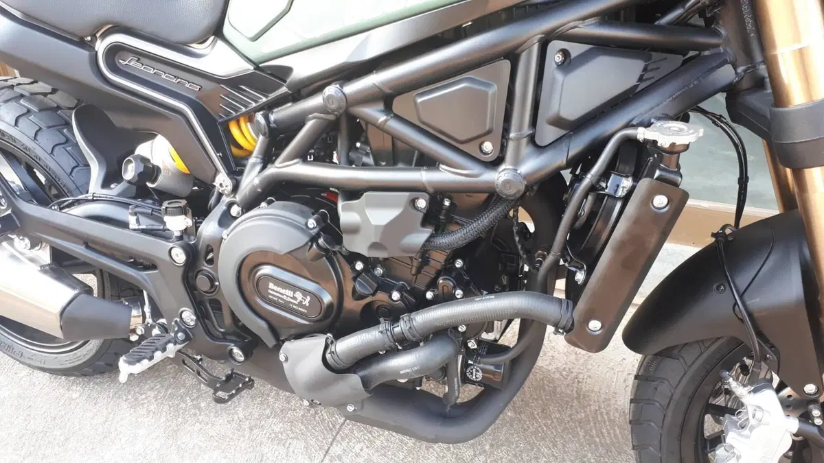 Benelli Leoncino 800 (2022 - 26) (4)