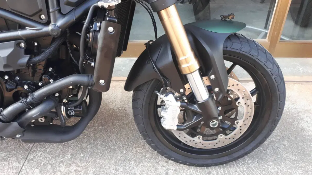 Benelli Leoncino 800 (2022 - 26) (14)
