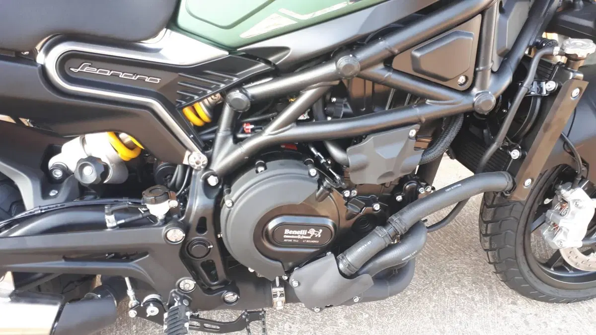 Benelli Leoncino 800 (2022 - 26) (5)