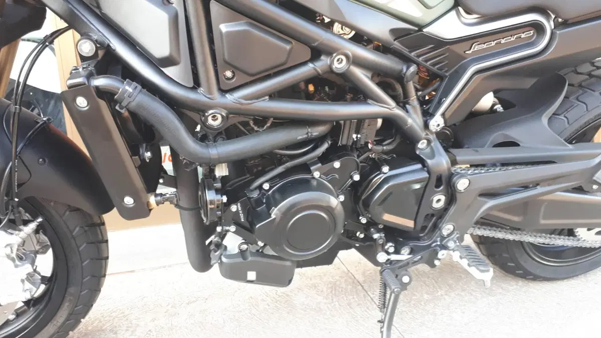 Benelli Leoncino 800 (2022 - 26) (19)