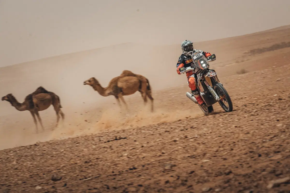 TDC22. Botturi e Yamaha: Debutto Vincente in Tunisia (23)