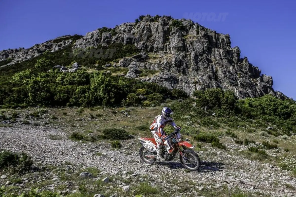Botturi vince la settima edizione del Sardegna Rally Race (22)