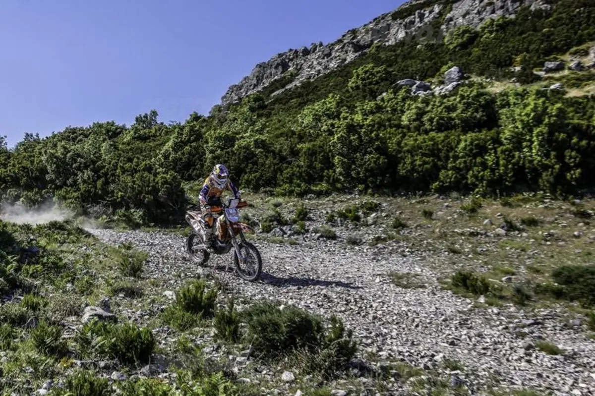 Botturi vince la settima edizione del Sardegna Rally Race (24)