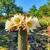 rparigi552_gmail.com
