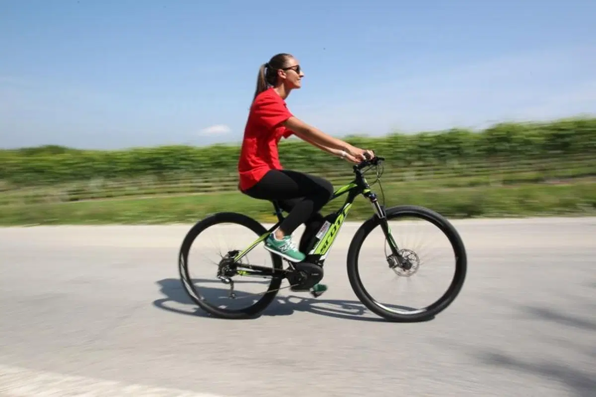Bosch eBike: 5 centesimi per 80 km con poca fatica (3)