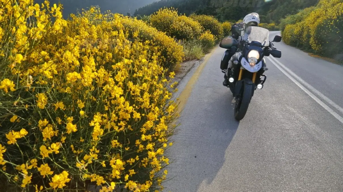 Planet Explorer 4, Greece: il video Best-Of (50)