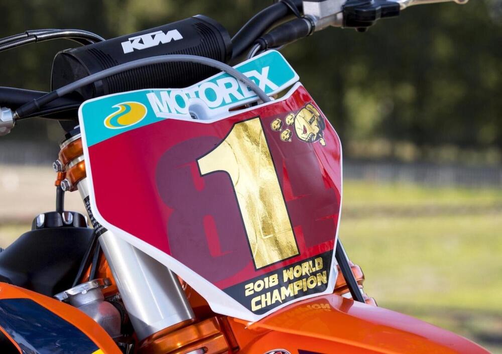 KTM SX 450 F Herlings Replica (2019) (3)