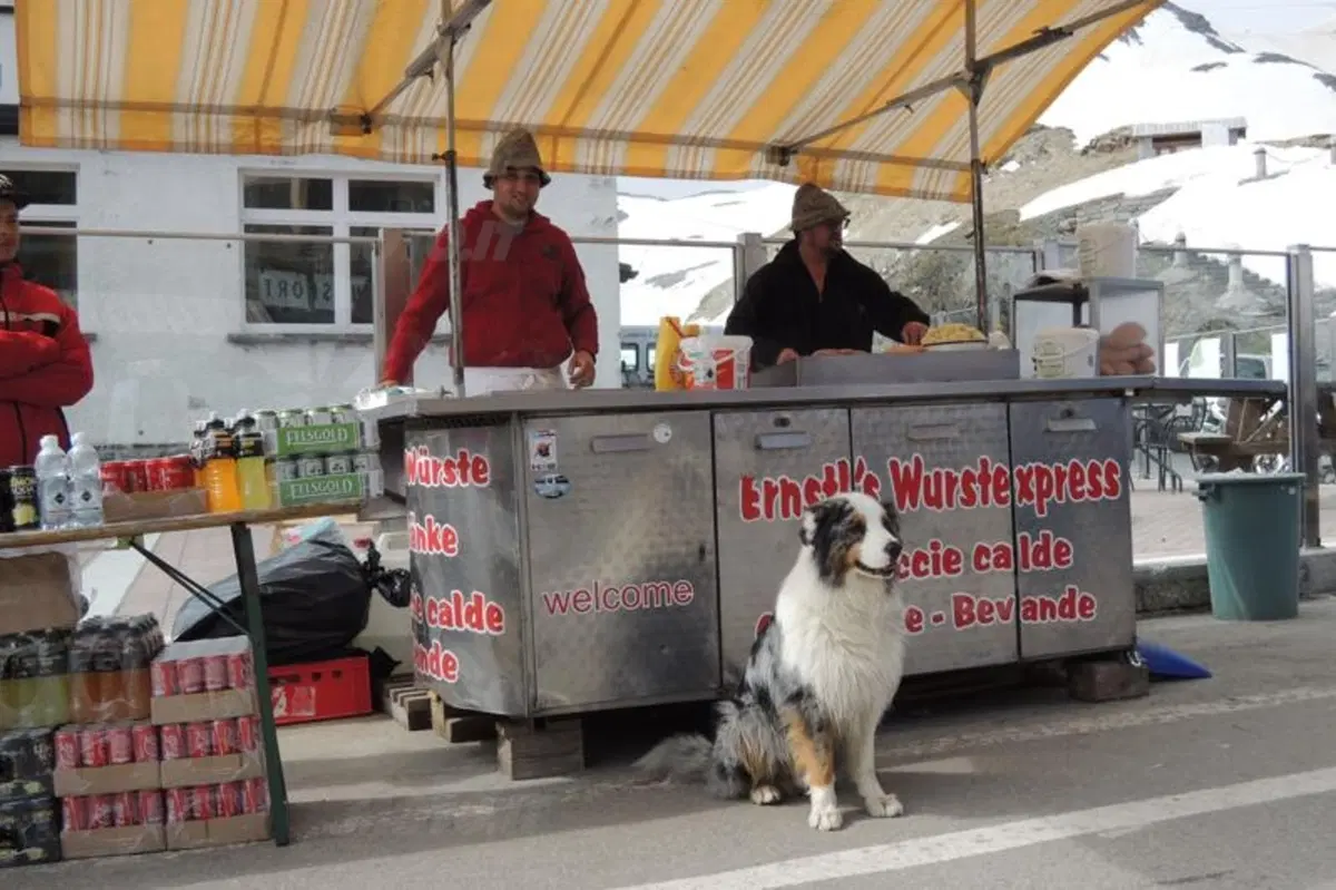 Motoraduno dello Stelvio 2014: c'eravamo anche noi! (20)