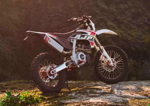 AJP SPR 310