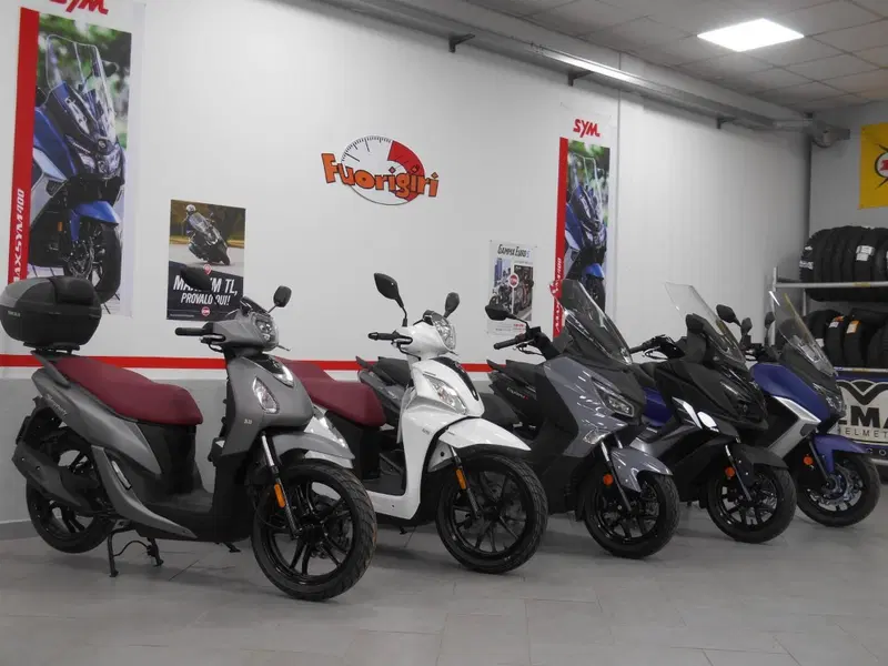 Sym Cruisym 300 E5+ (2025 - 26) (6)