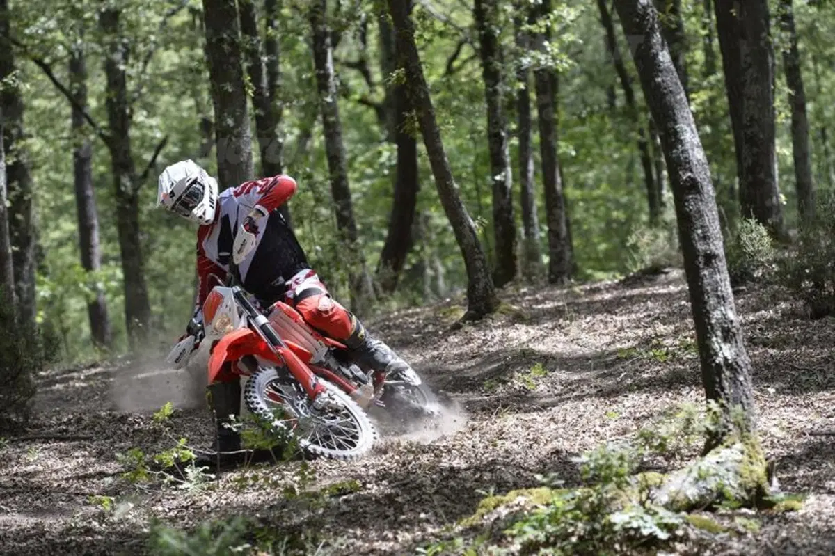 Gamma Beta Enduro RR 2015 (3)