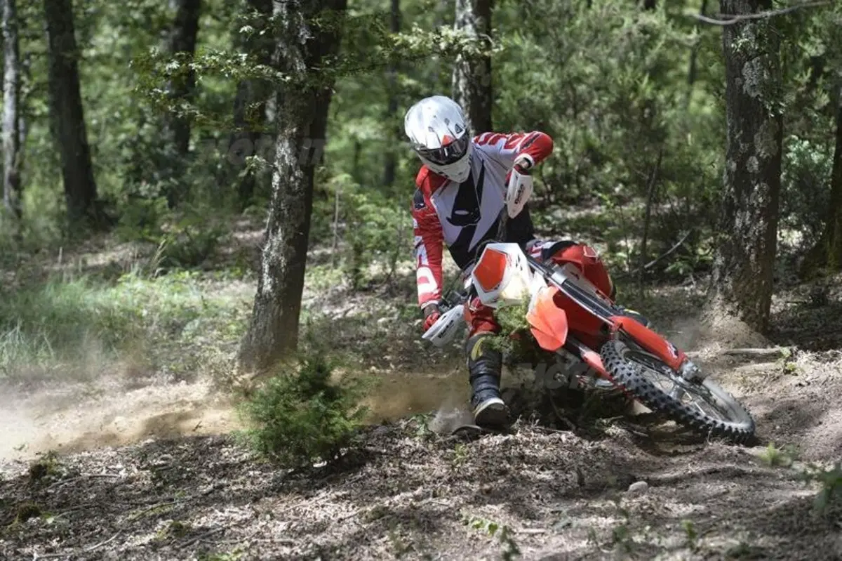 Gamma Beta Enduro RR 2015 (5)
