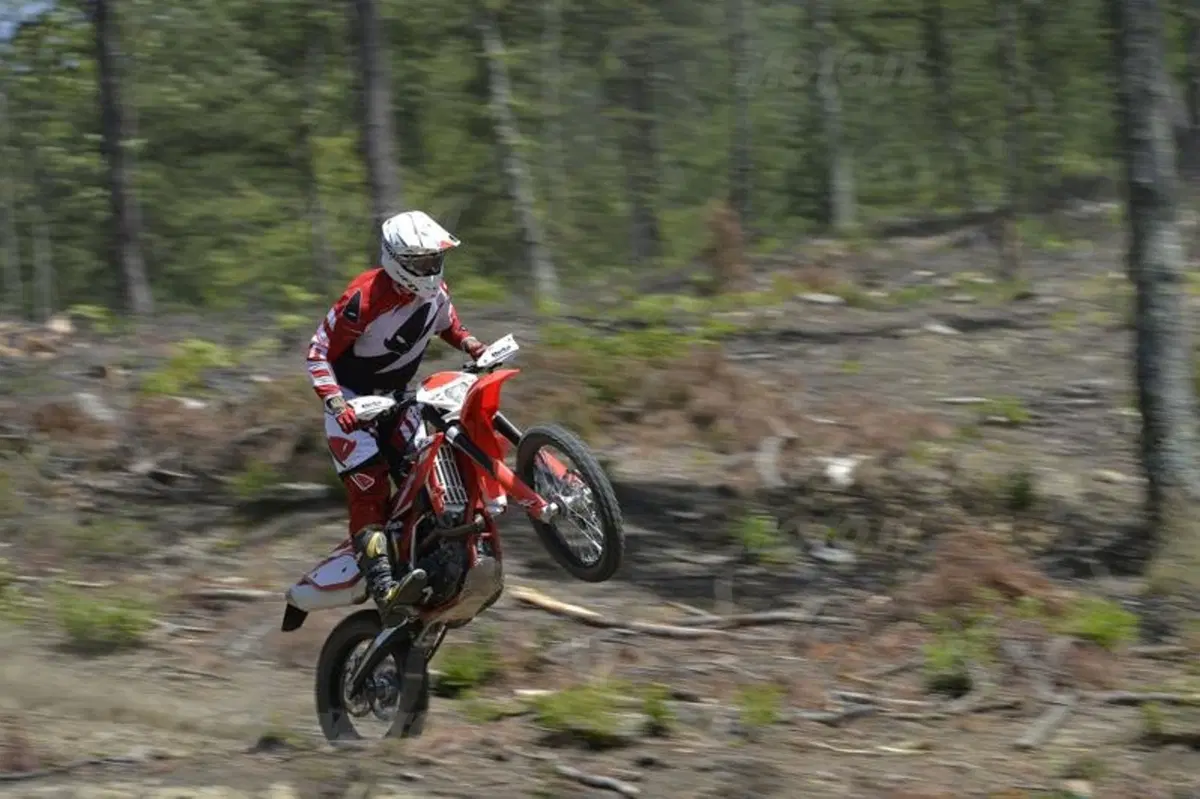 Gamma Beta Enduro RR 2015 (6)
