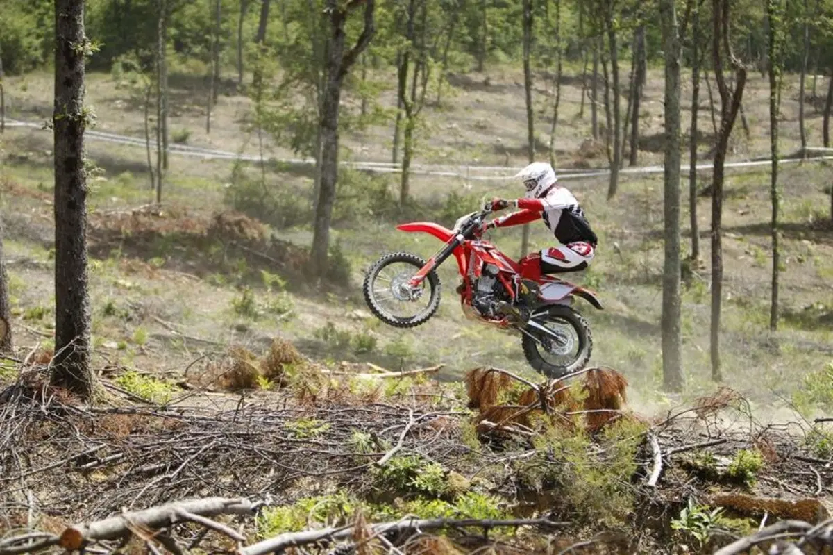 Gamma Beta Enduro RR 2015 (8)