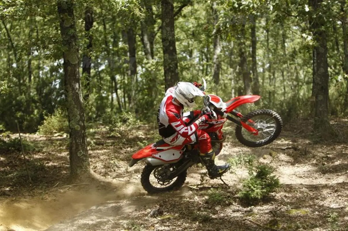 Gamma Beta Enduro RR 2015 (11)