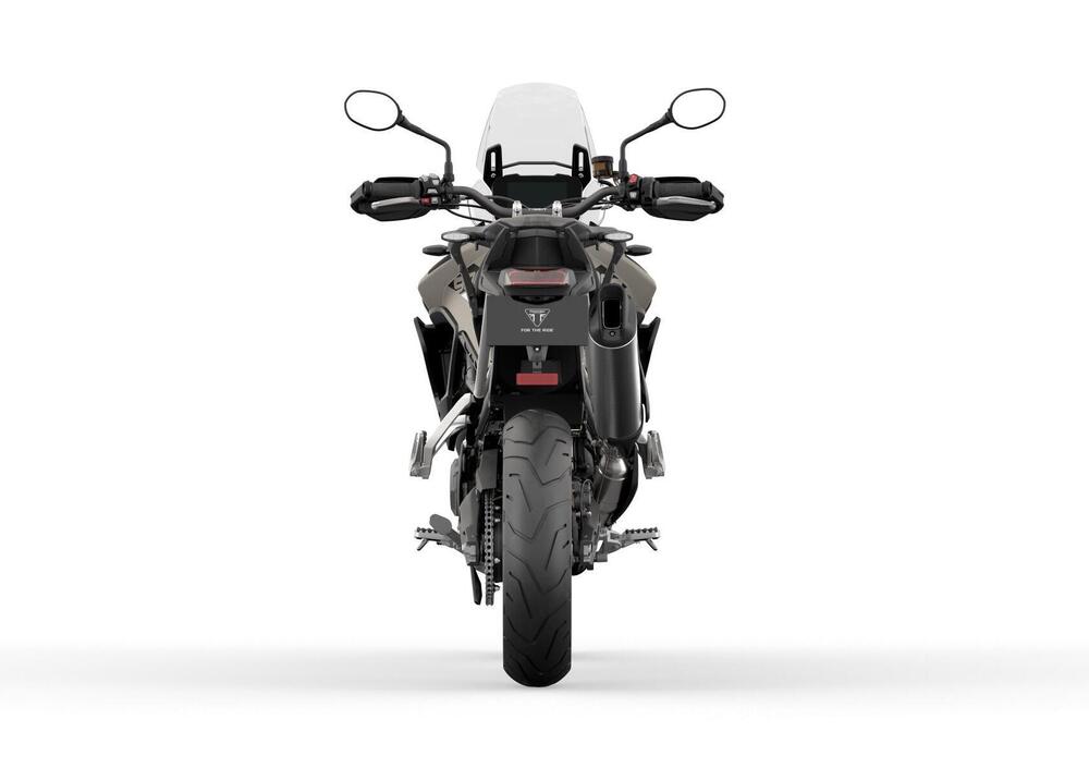 Triumph Tiger 900 Rally (2020 - 23) (3)